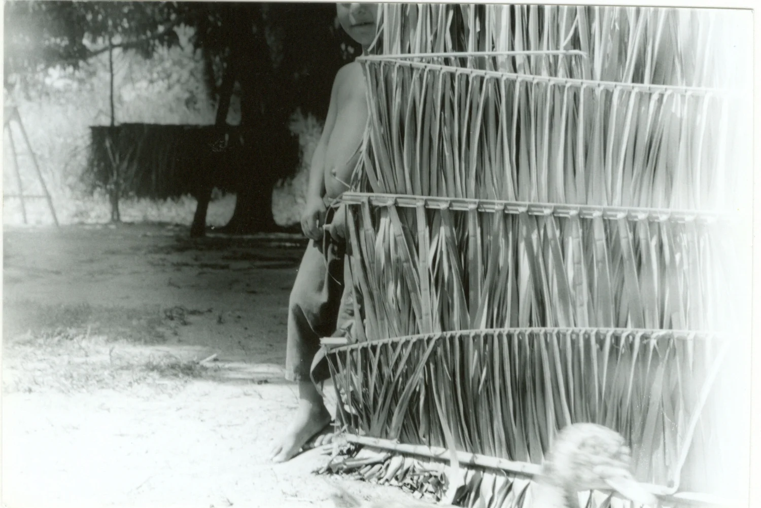 Salinopolis, 1999