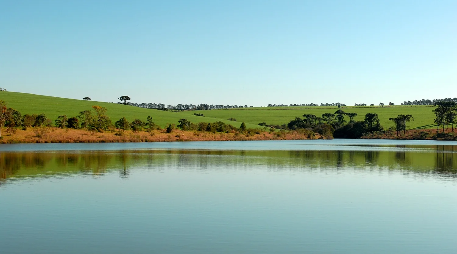 Guarapuava, 2008