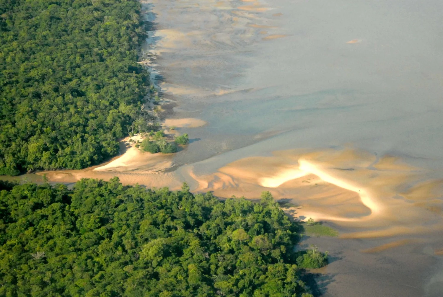 Amazonia, 2007