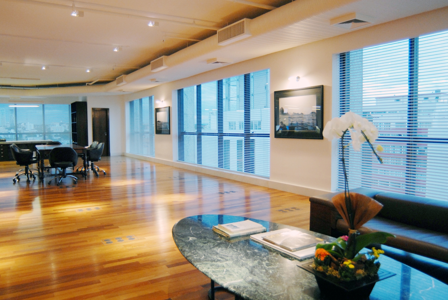 Projeto Patricia Borges - 2005