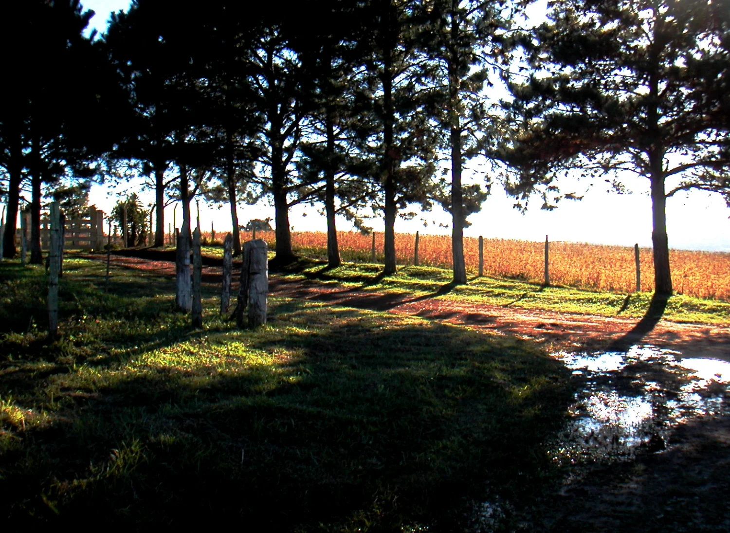 Thalia, 2004