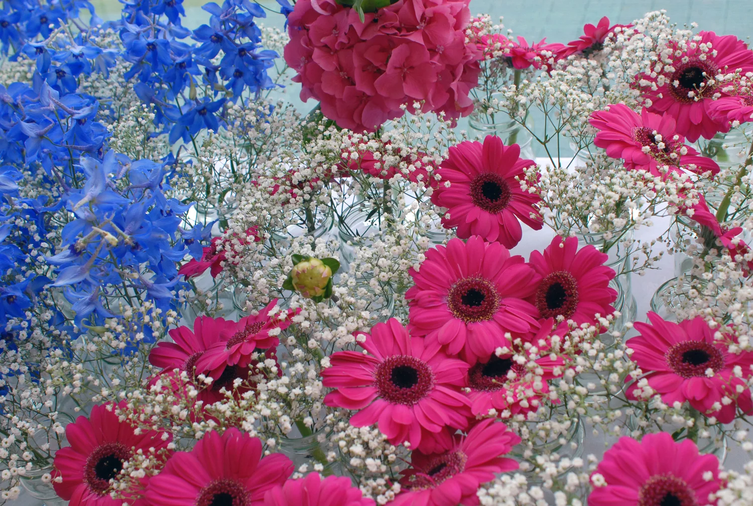 The Indian Wedding, London, 2012