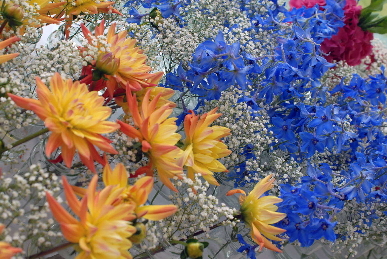 The Indian Wedding, London, 2012