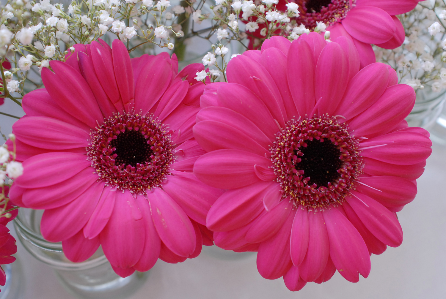 The Indian Wedding, London, 2012