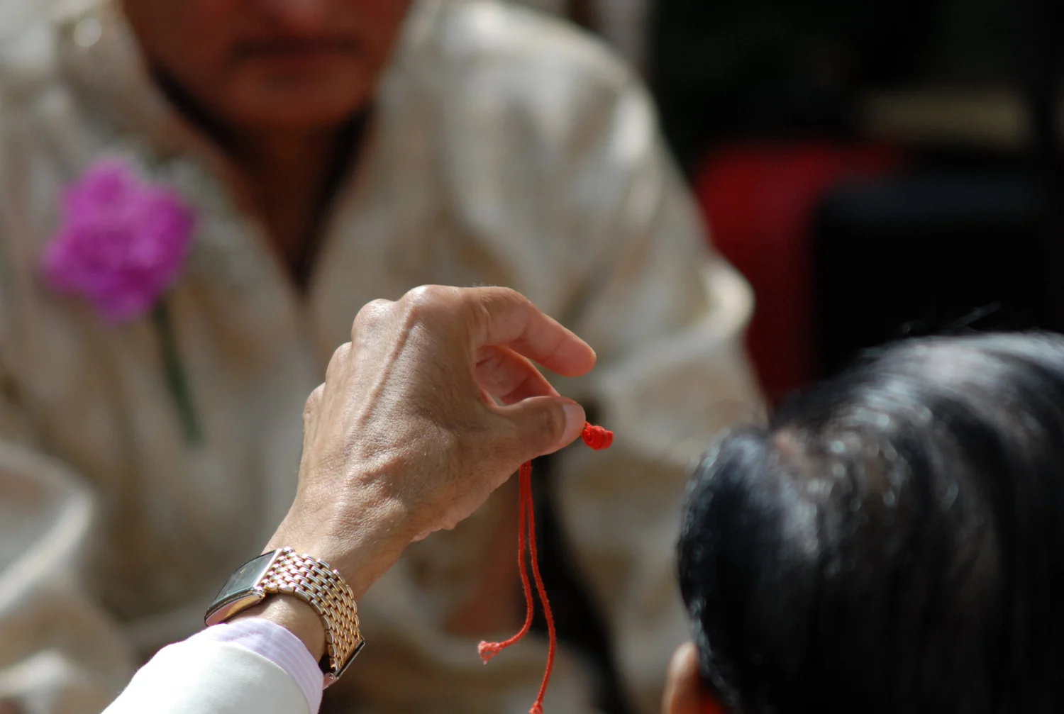 The Indian Wedding, London, 2012