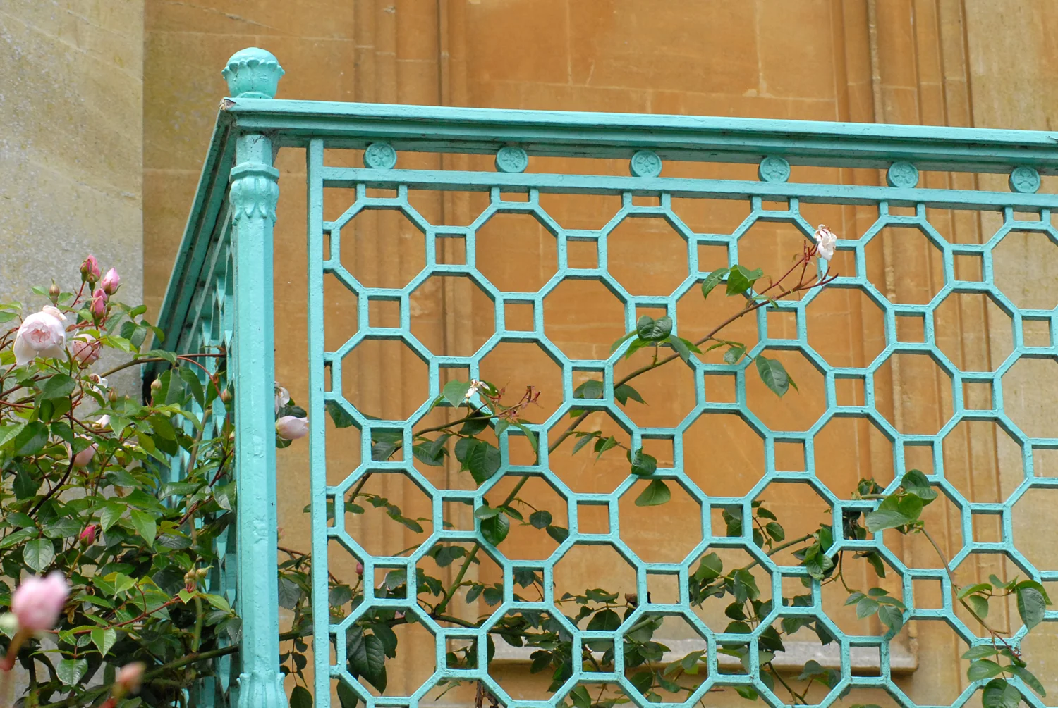 The Indian Wedding, London, 2012