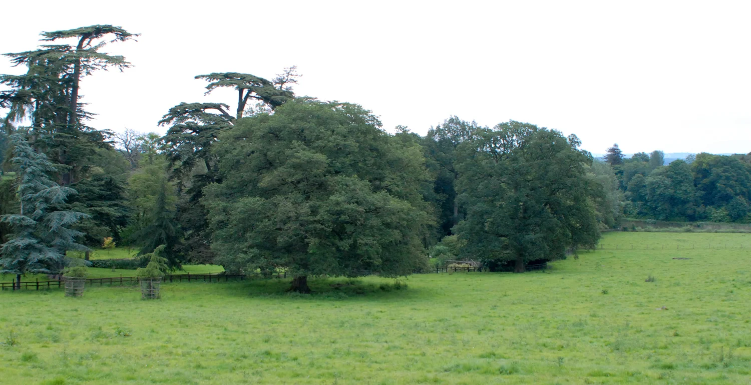 The Indian Wedding, London, 2012