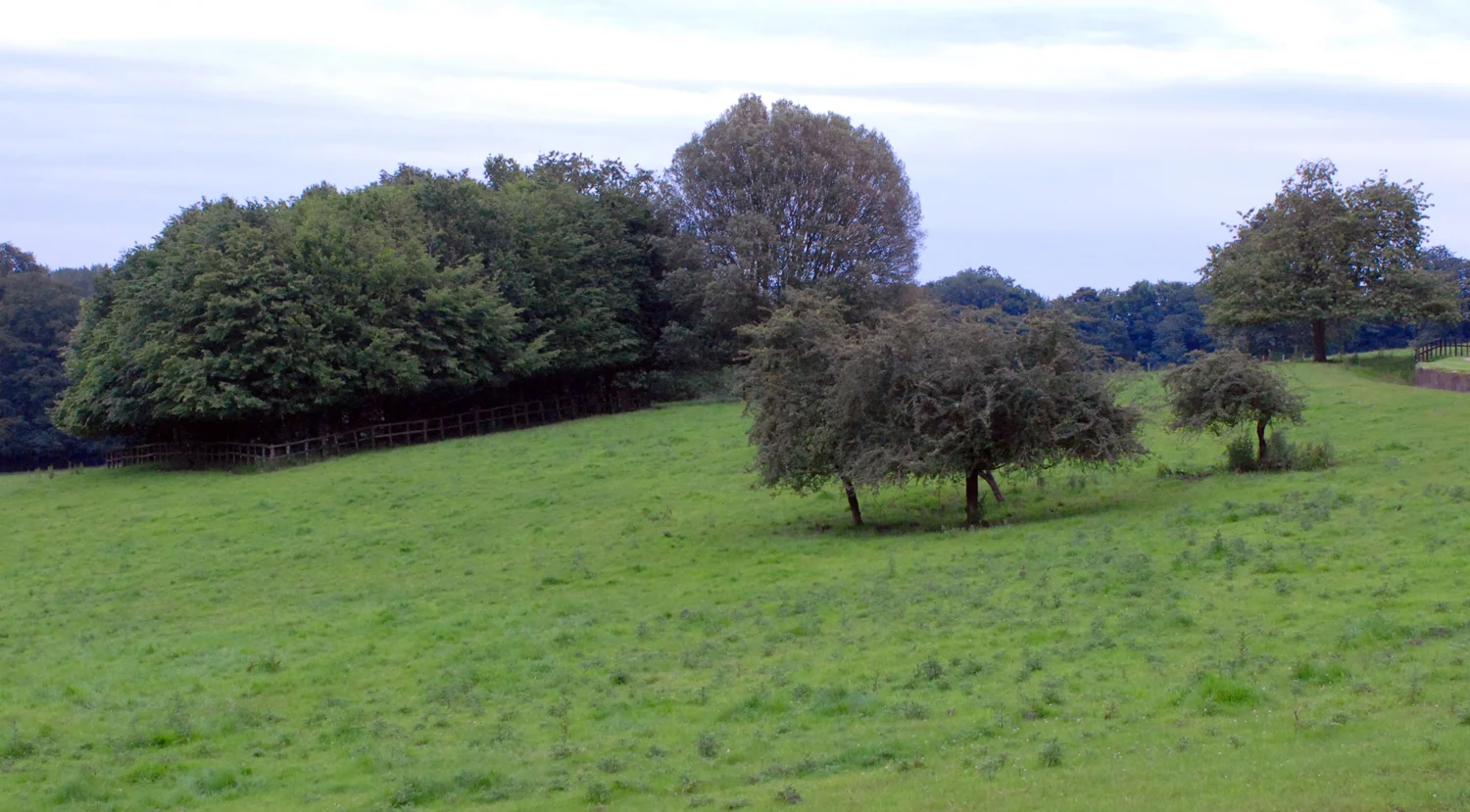 The Indian Wedding, London, 2012