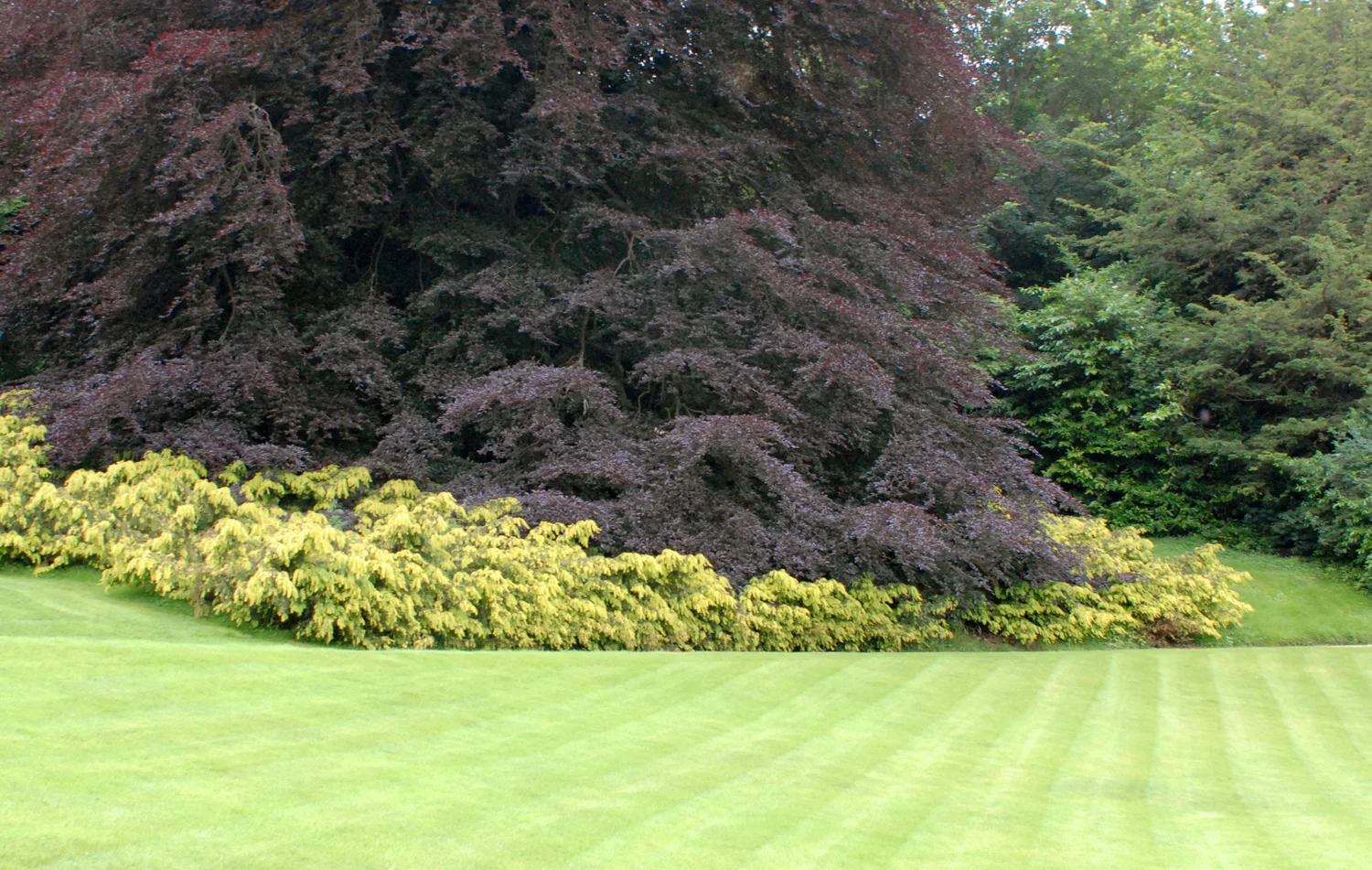 The Indian Wedding, London, 2012