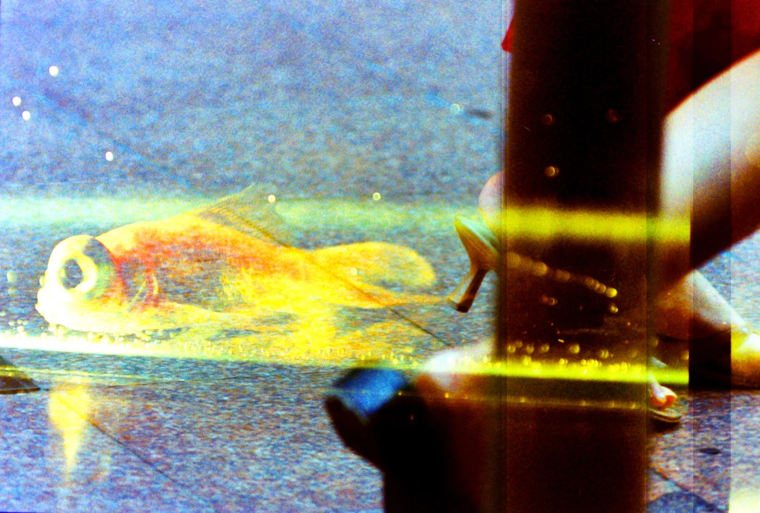 Liquid World, 2017
