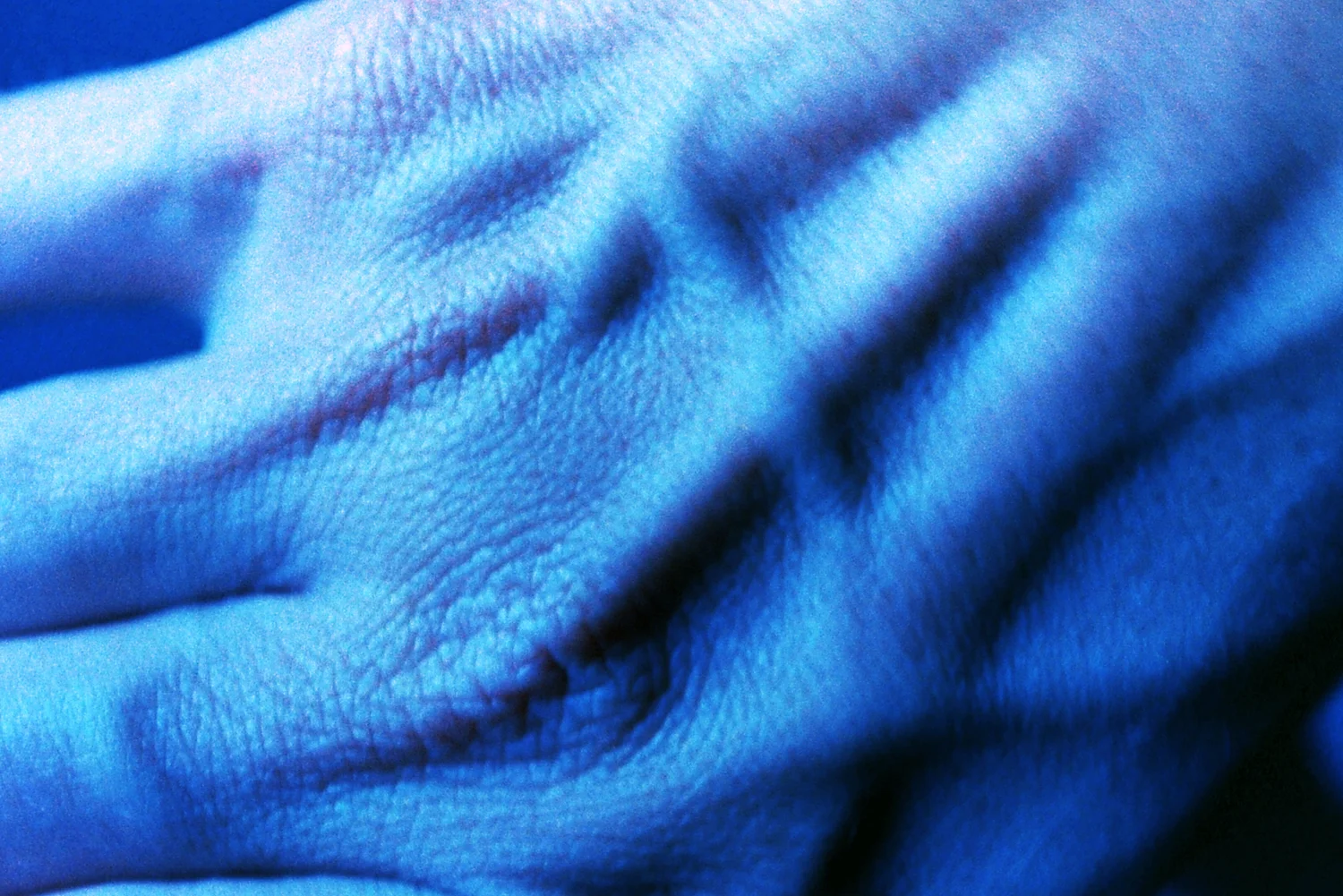 PICT0013b.jpg