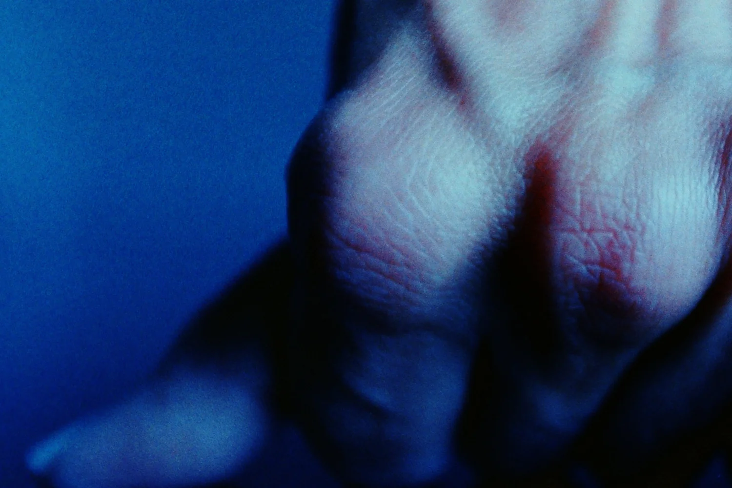 PICT0022c.jpg