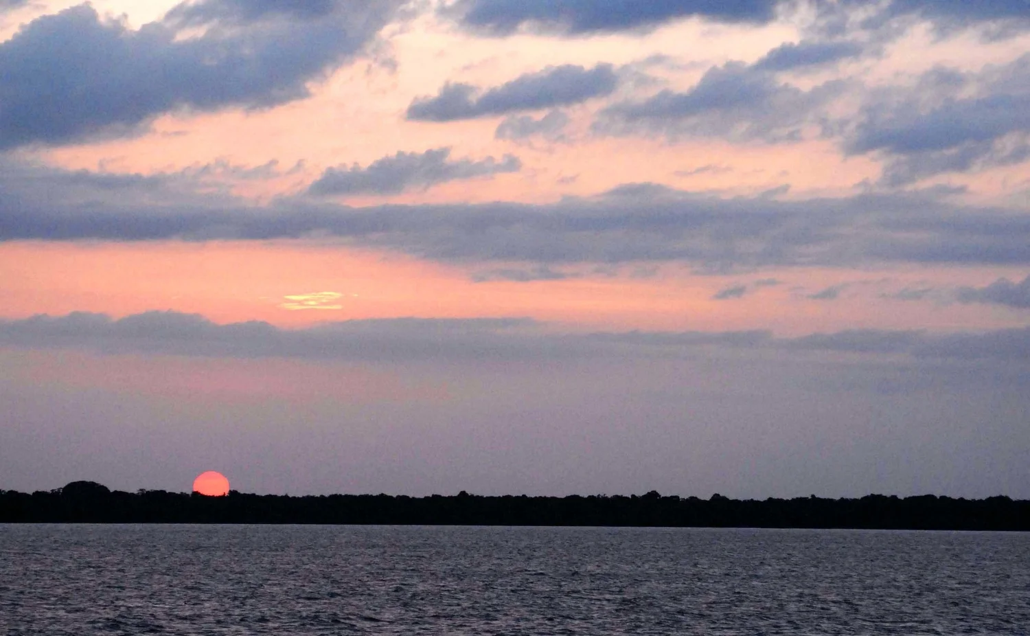  Photographs Patricia Borges Brazilian Amazon 