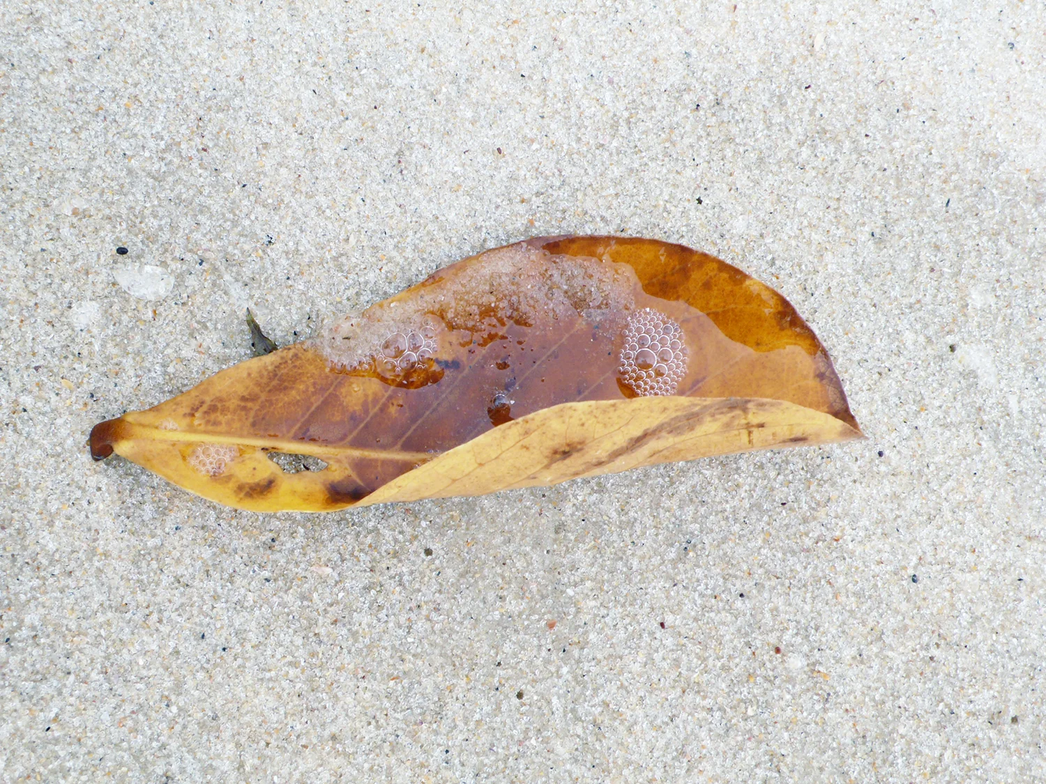 L1040188 copy.jpg