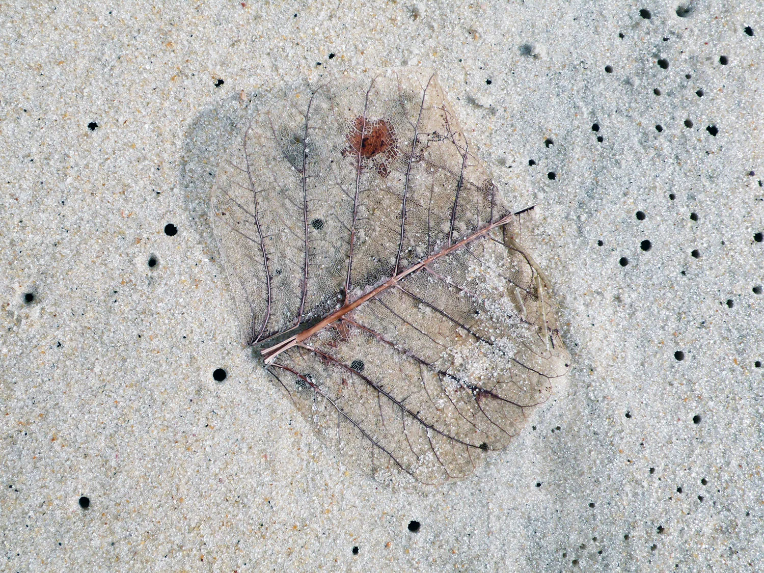 L1050294.jpg