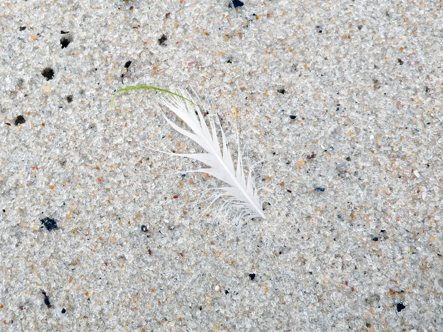 L1050723.jpg
