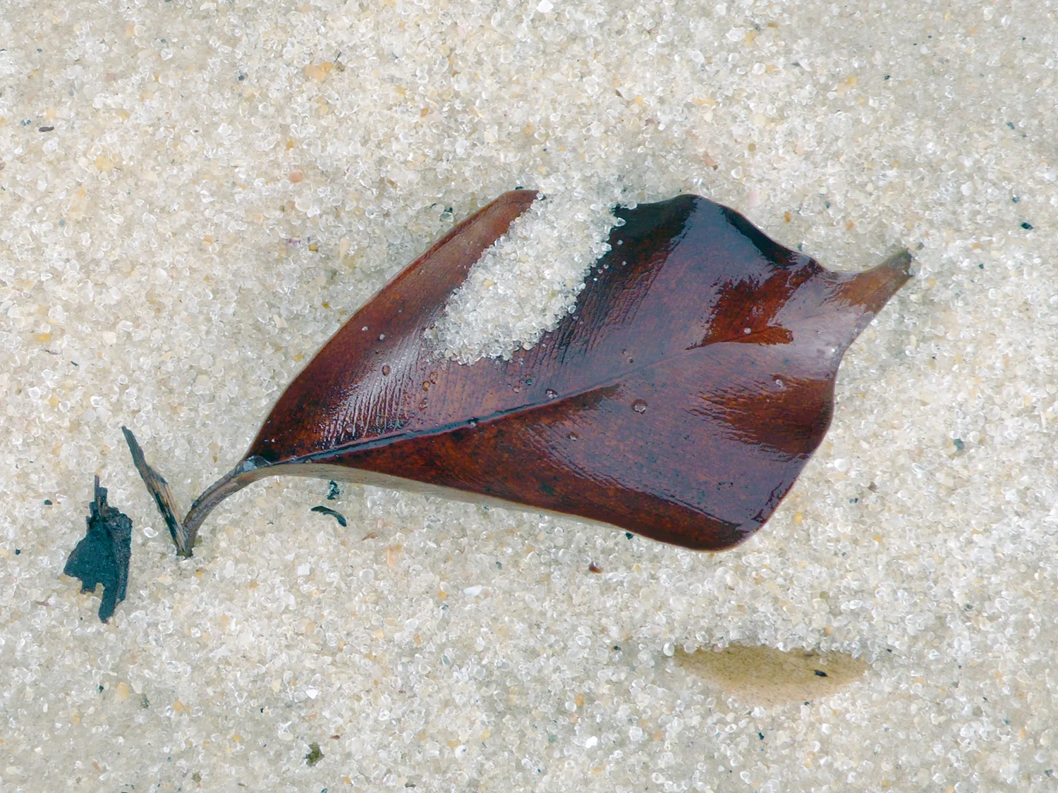L1050862.jpg