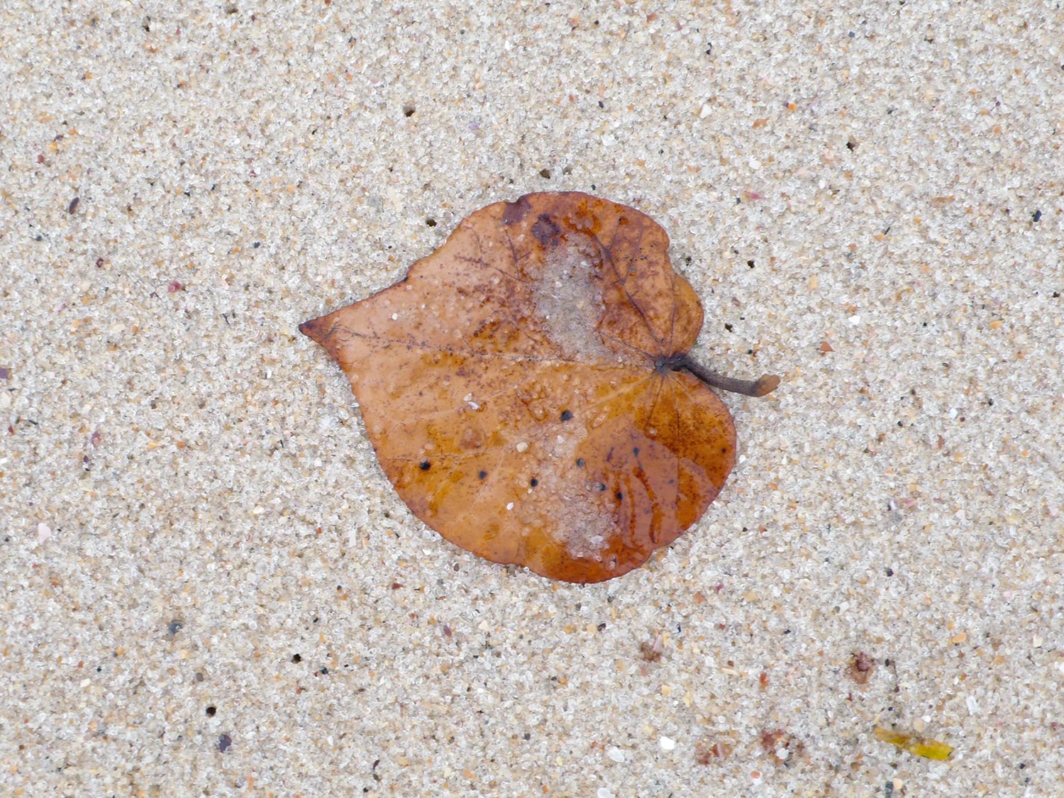 L1070667.jpg