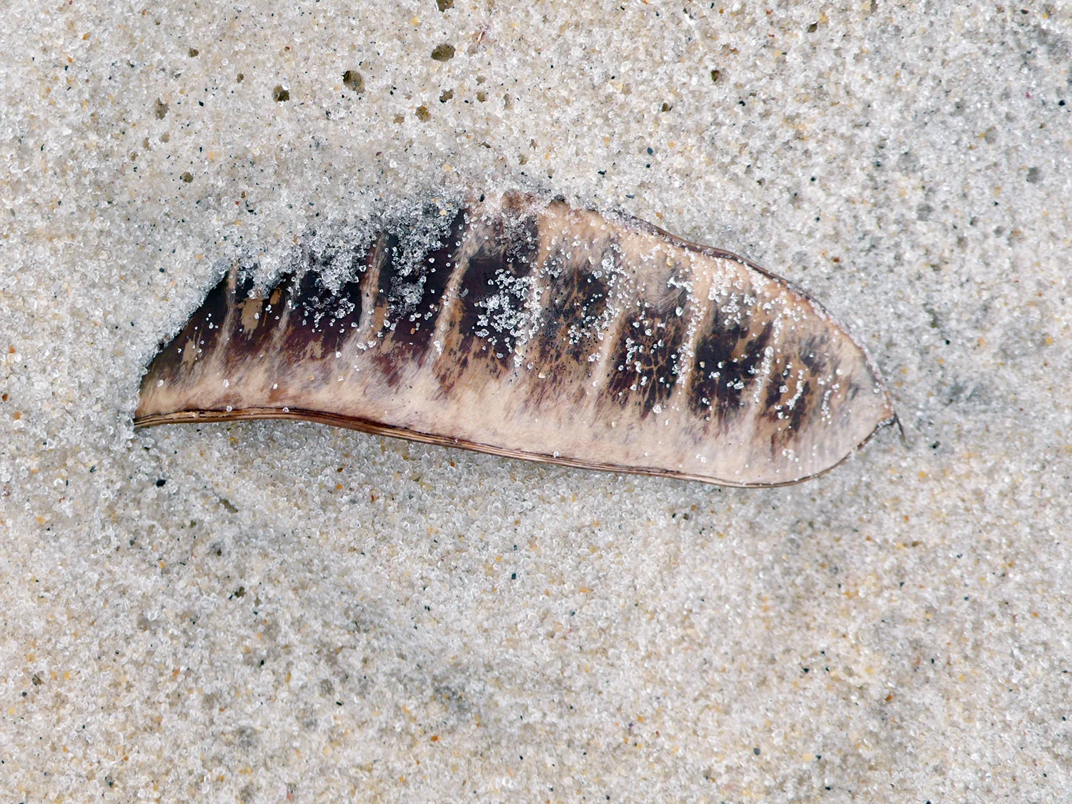 L1050050.jpg