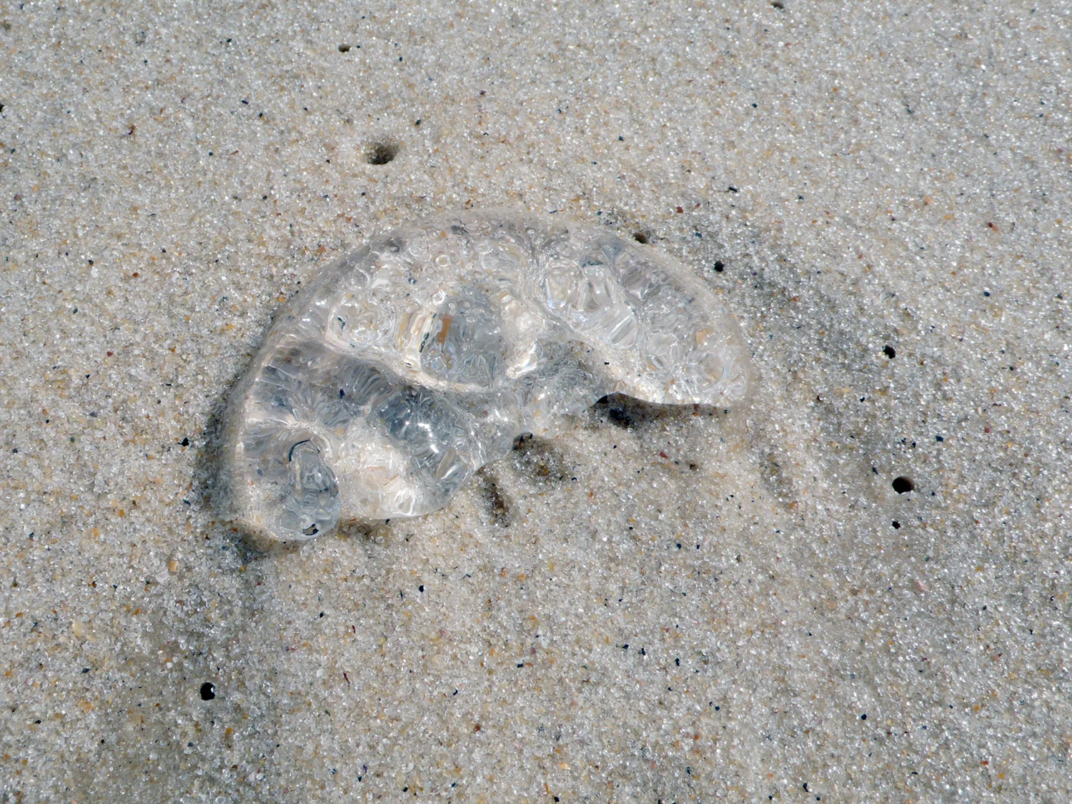 L1050297.jpg