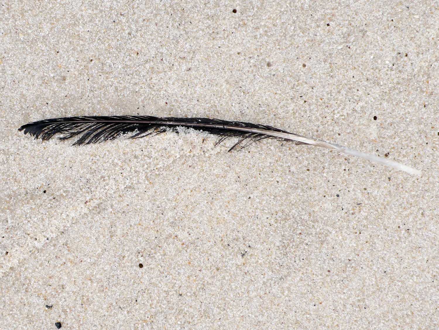 L1040141.jpg