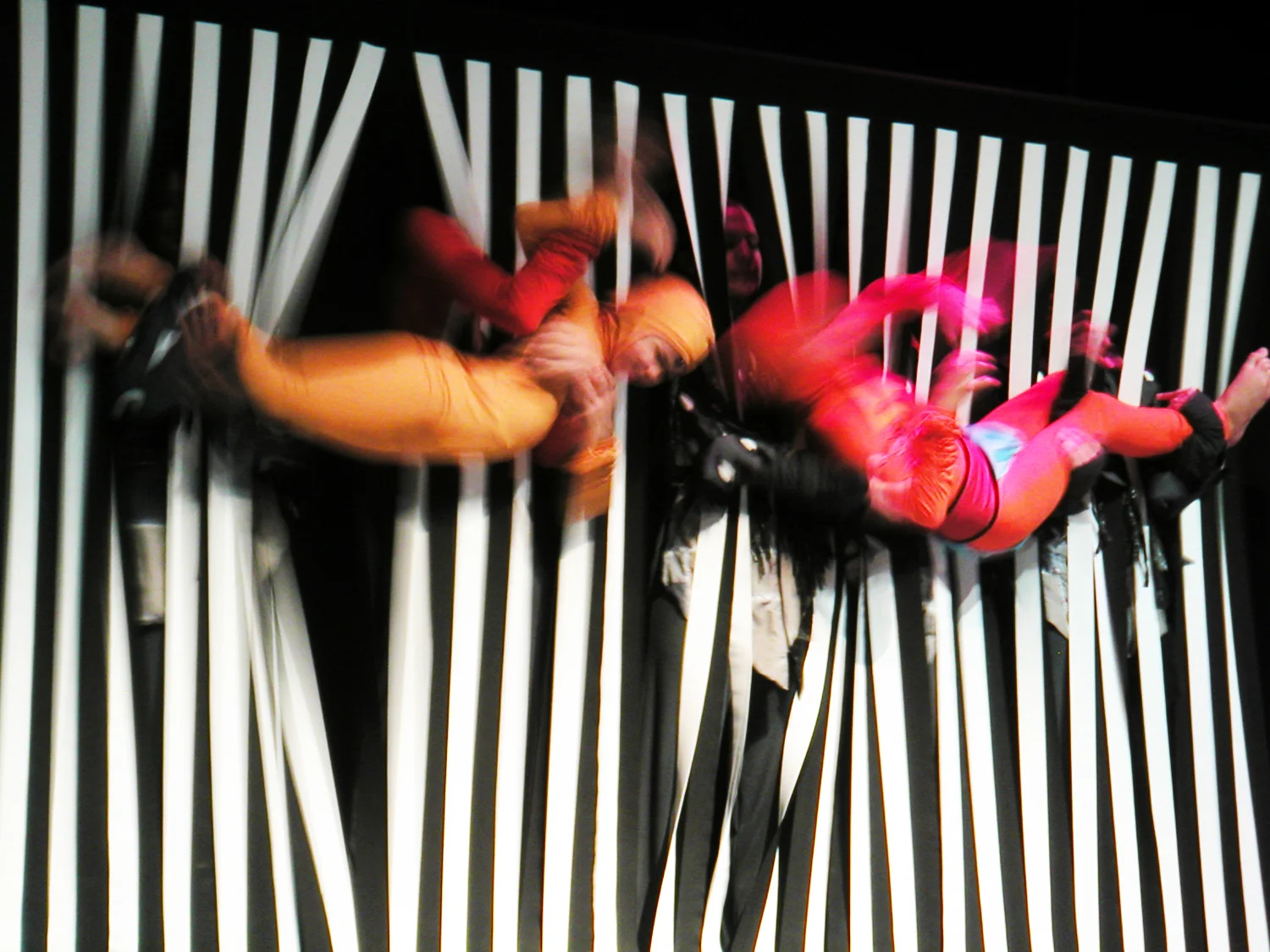 Grande Rei Leão, 2004