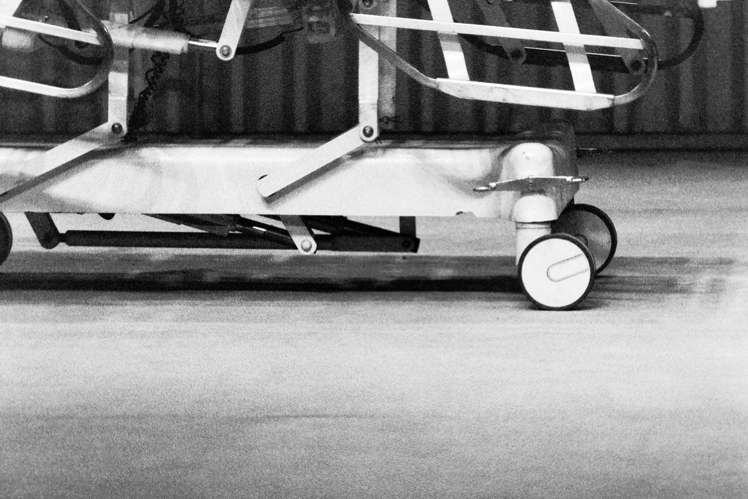 Temporada de Gripe, 2004