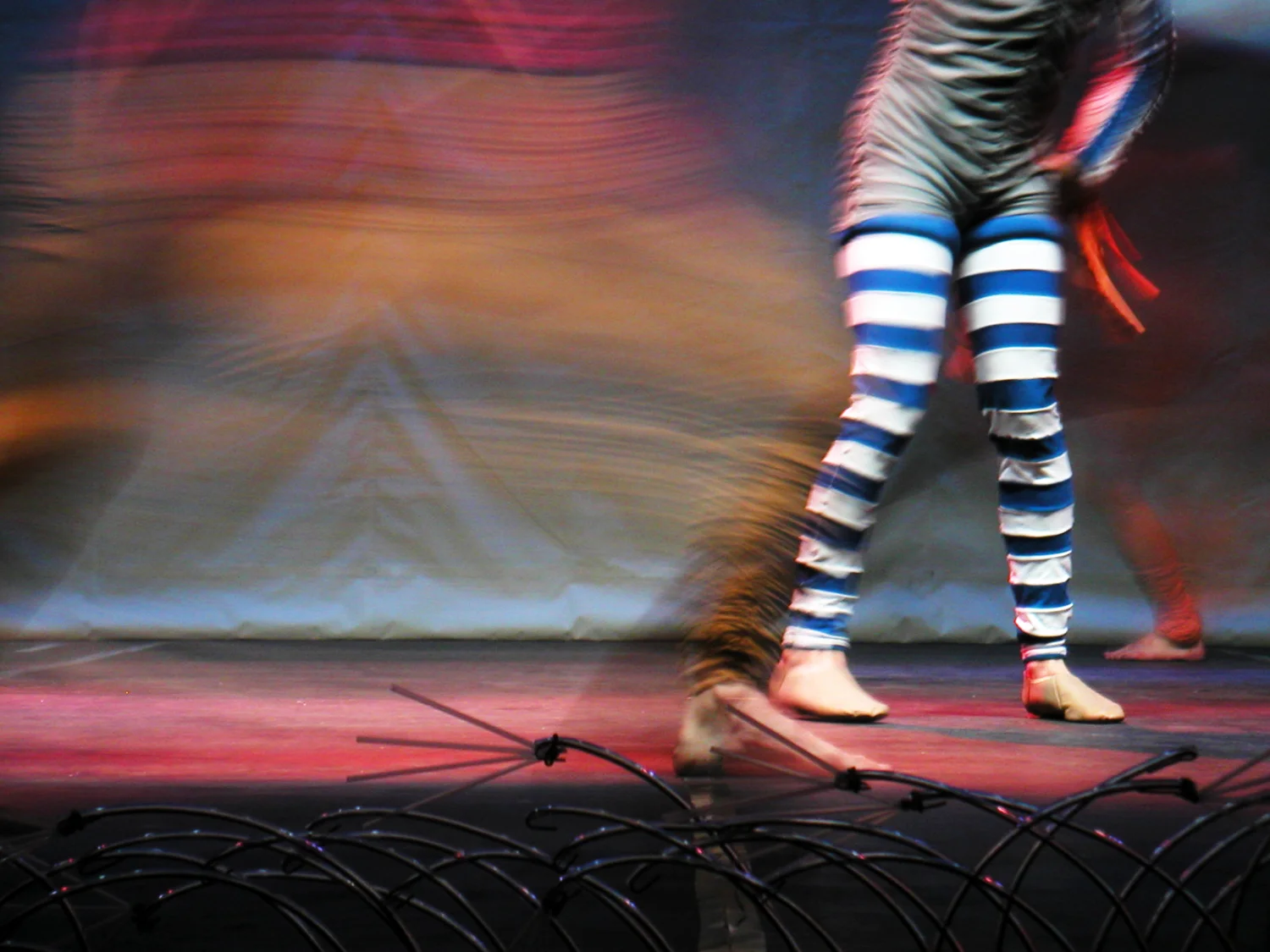 Grande Rei Leão, 2004