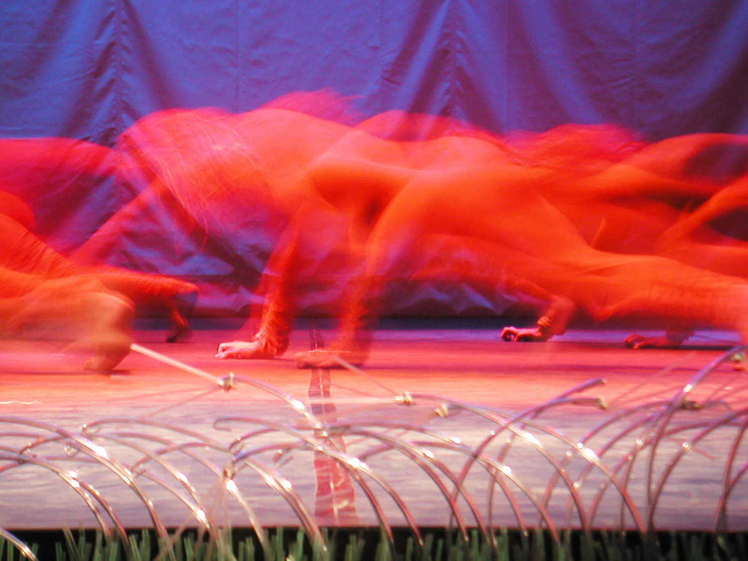 Grande Rei Leão, 2004