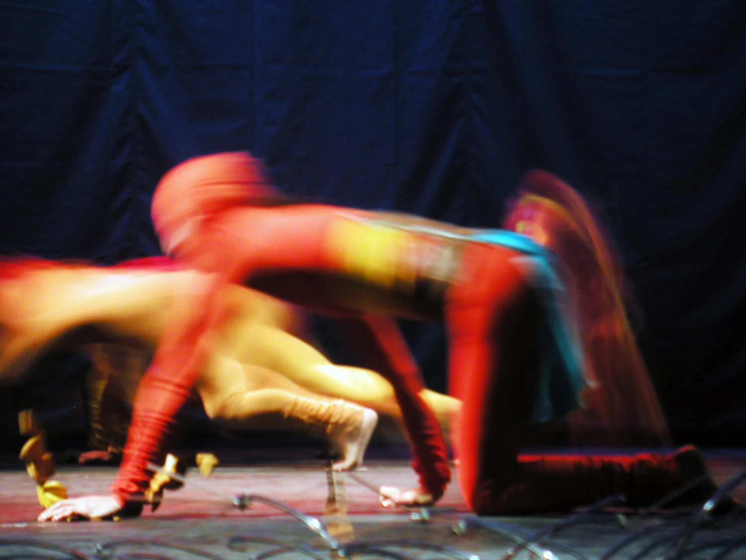 Grande Rei Leão, 2004