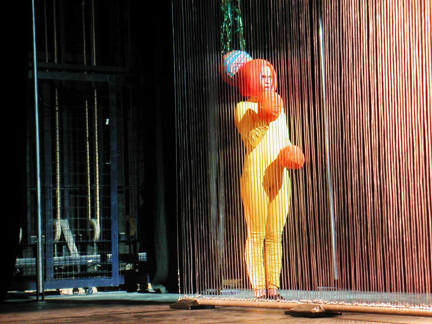 Grande Rei Leão, 2004