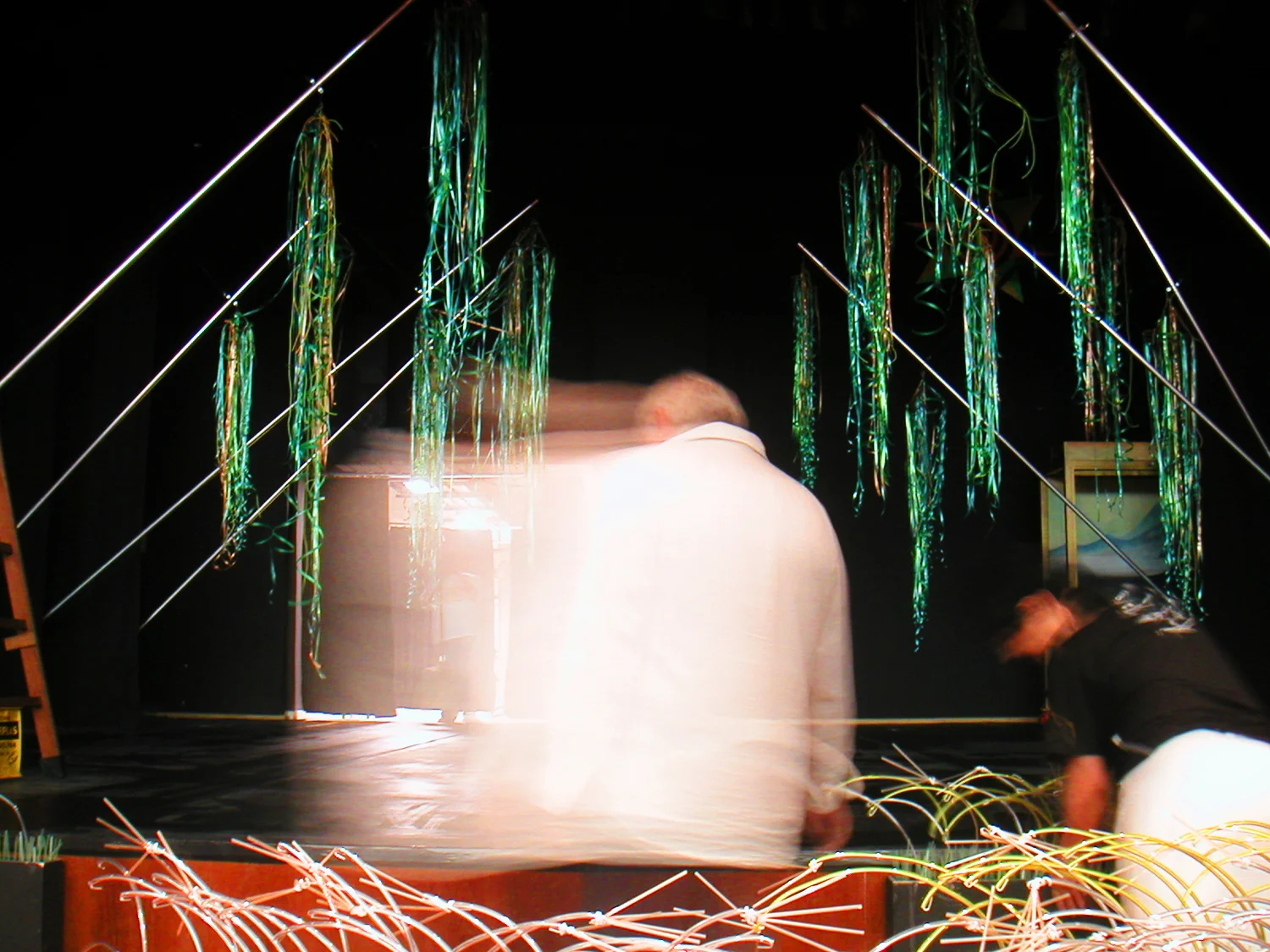 Grande Rei Leão, 2004