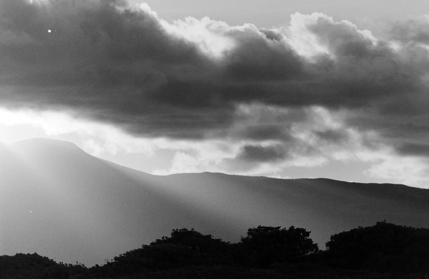 Maui, 2018