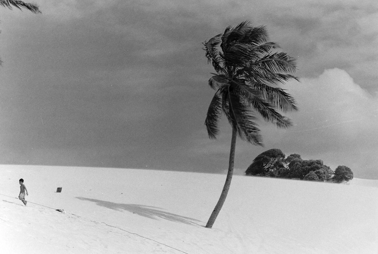 Canoa Quebrada, 2002