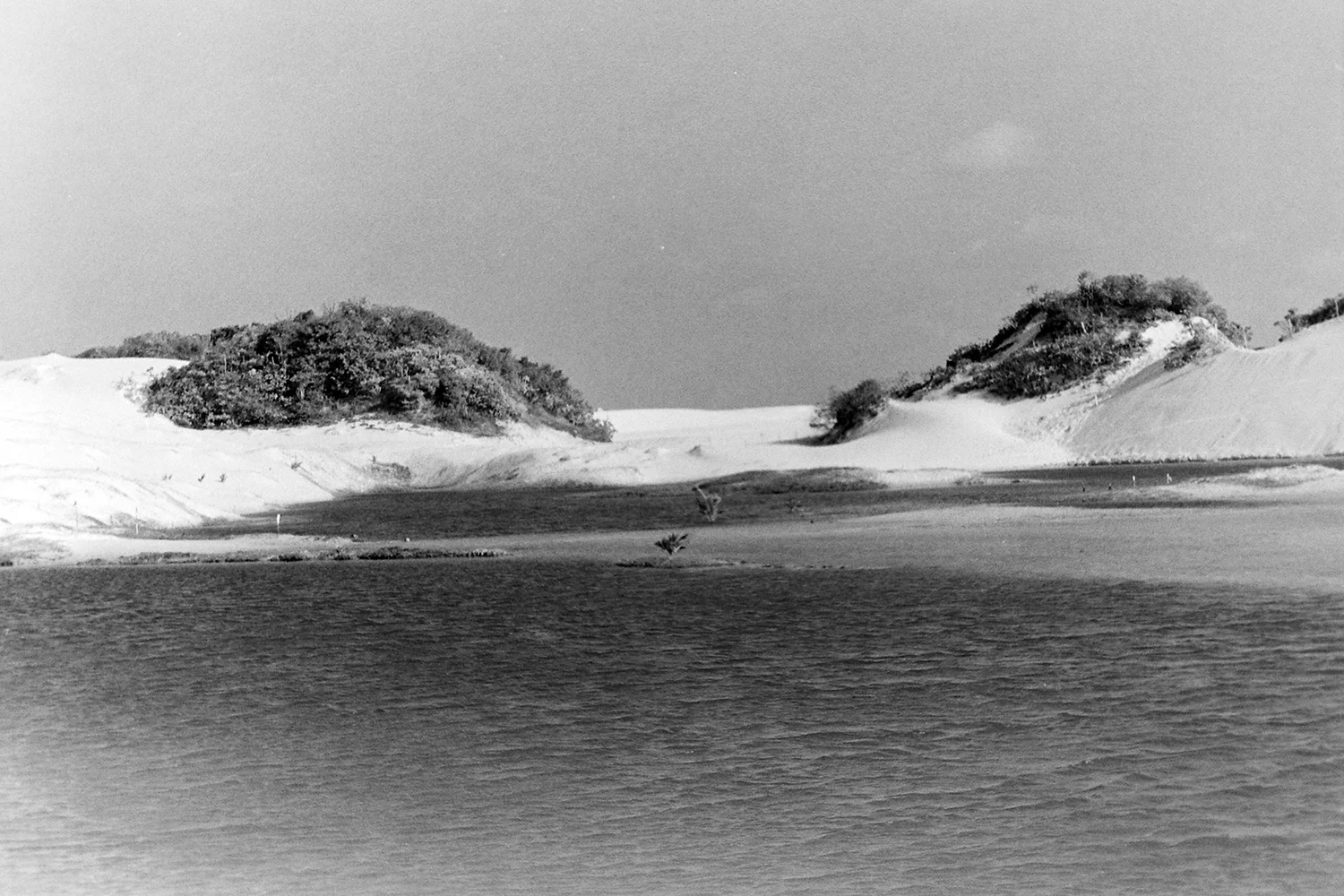 Canoa Quebrada, 2018