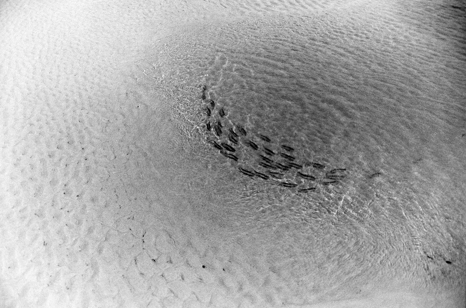 Fernando de Noronha, 2018