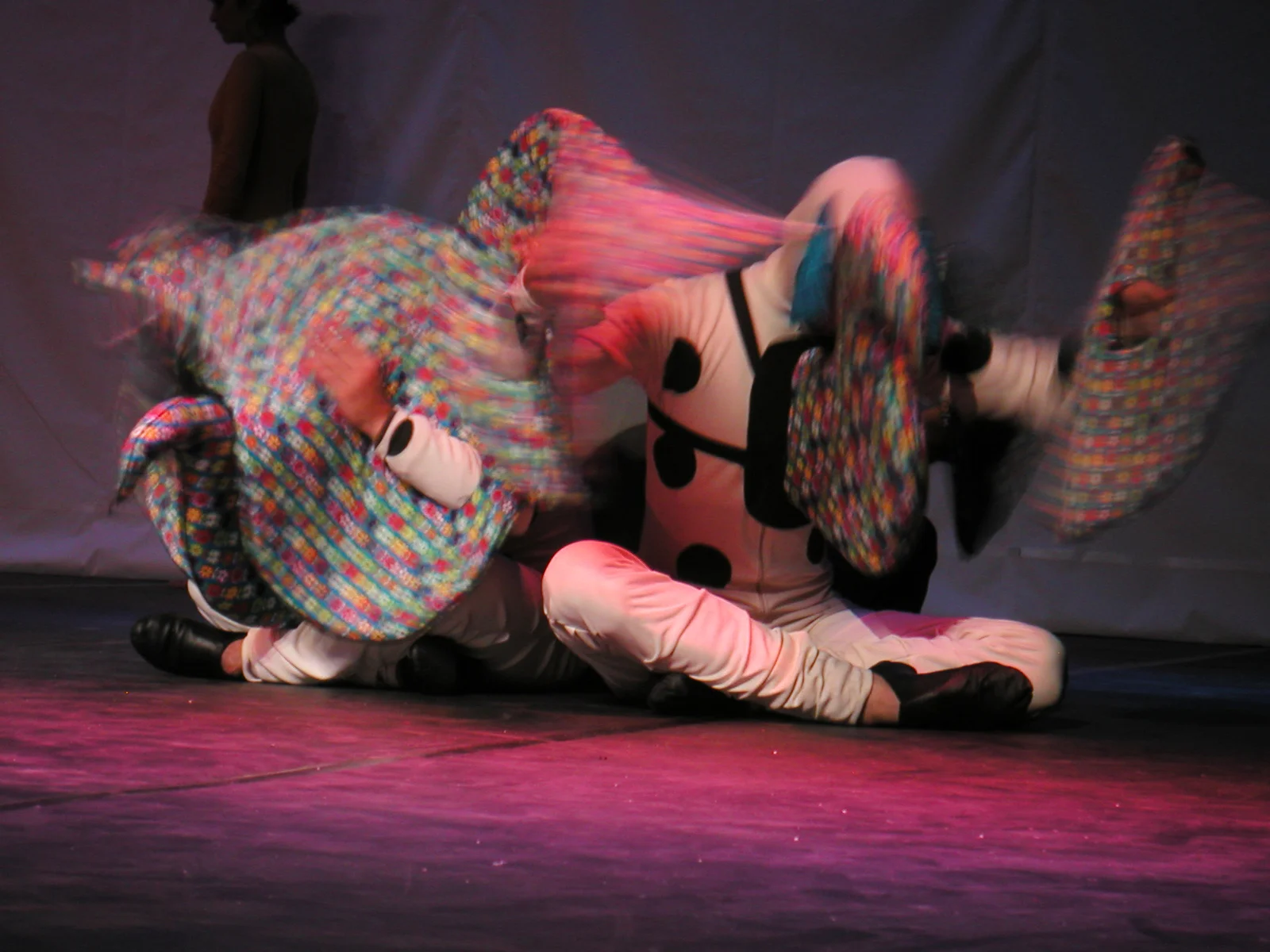 Grande Rei Leão, 2004