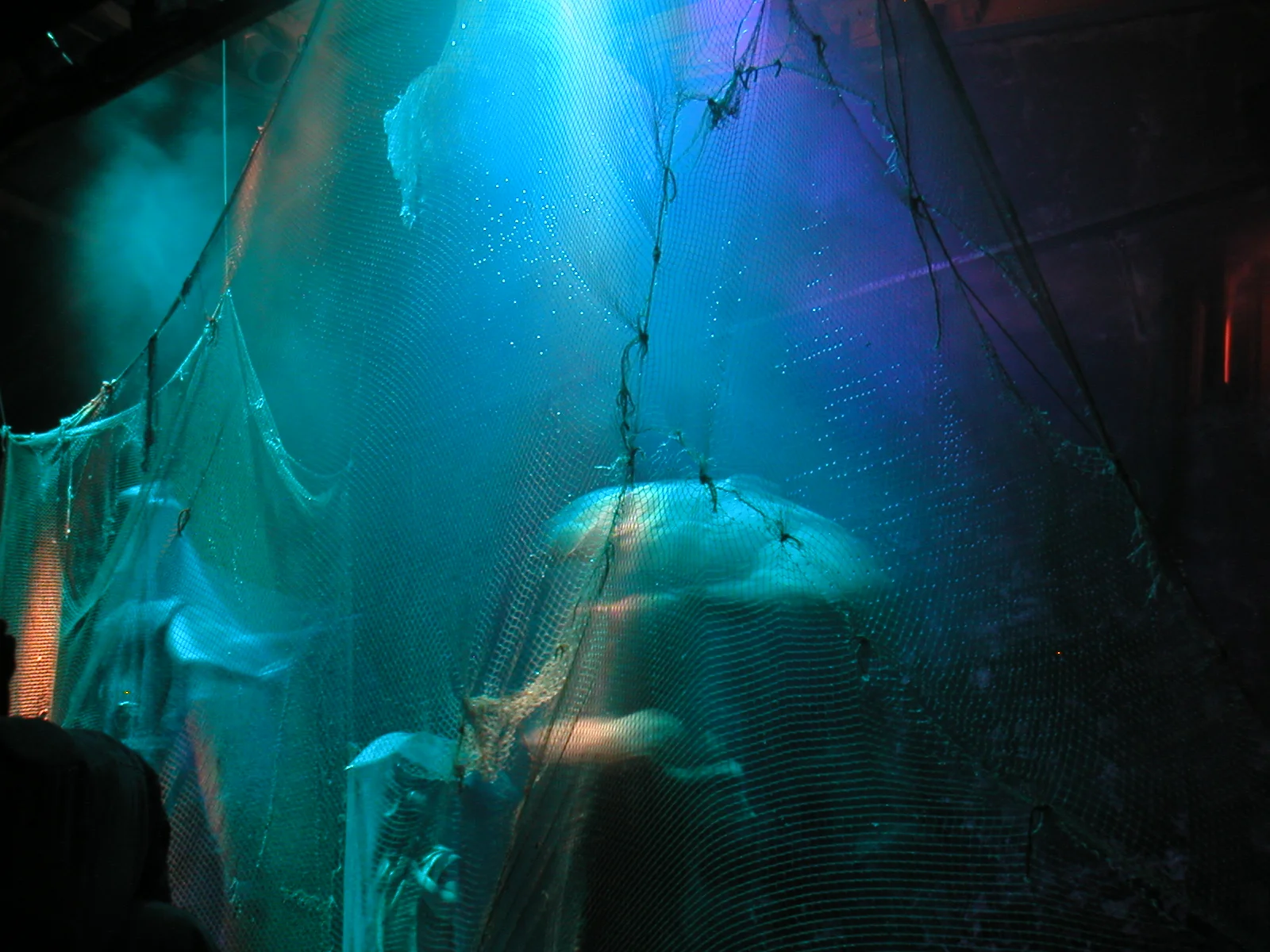 A Longa Viagem do Comandante Fulano de Tal pelo Grande Oceano, 2004