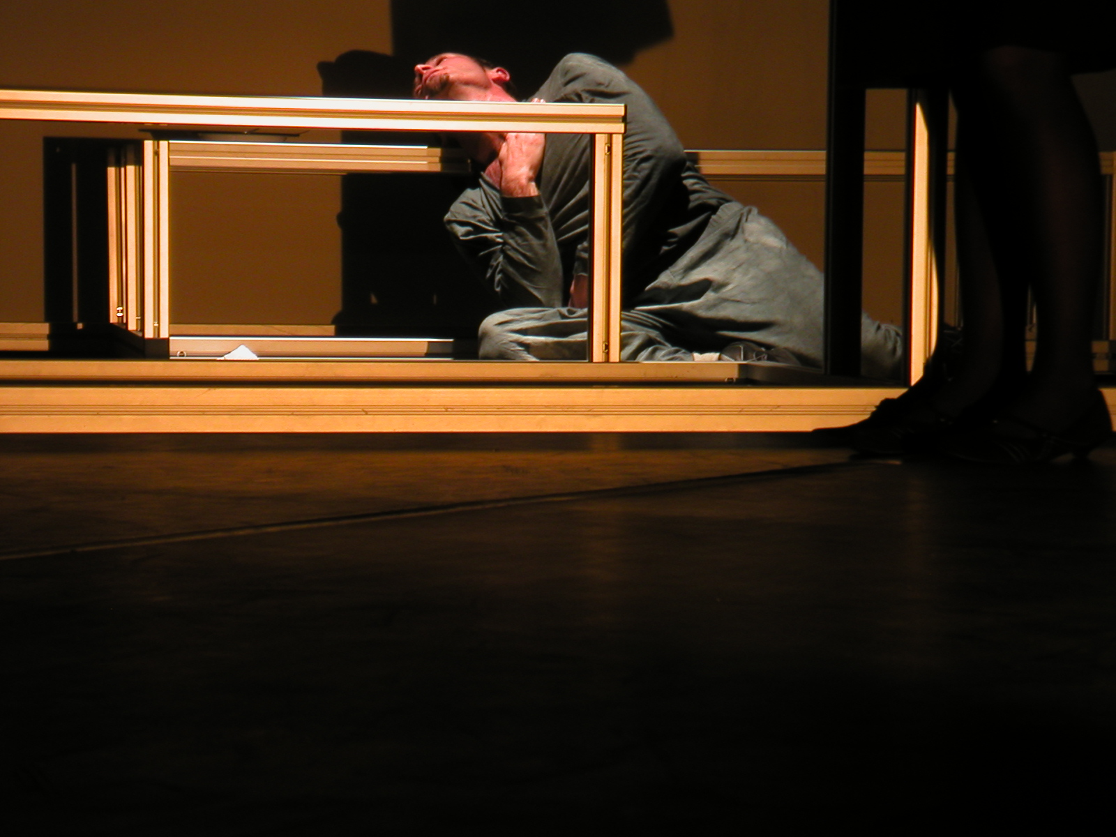 A Metamorfose, 2004