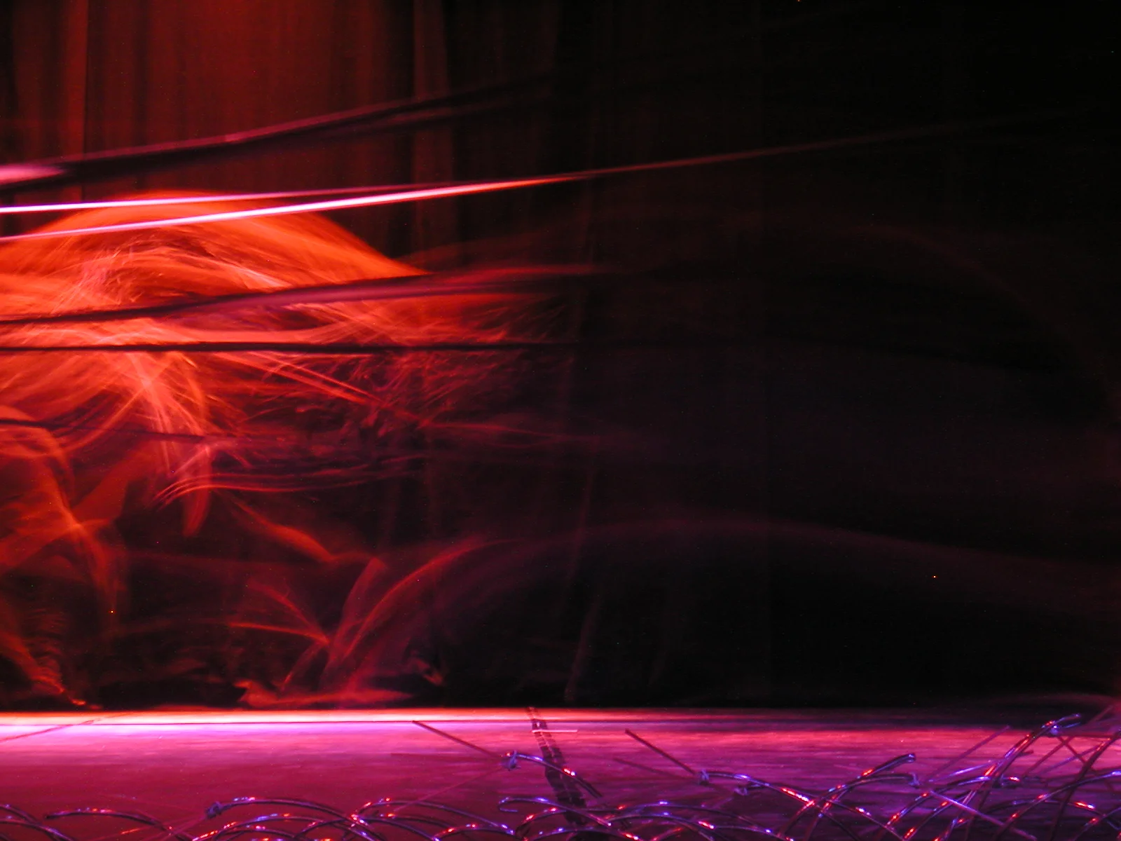 Grande Rei Leão, 2004