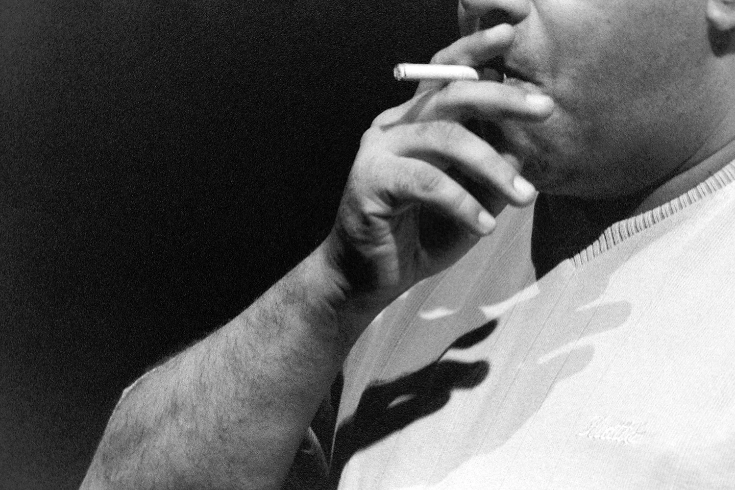 Investigação Sobre o Adeus, 2004