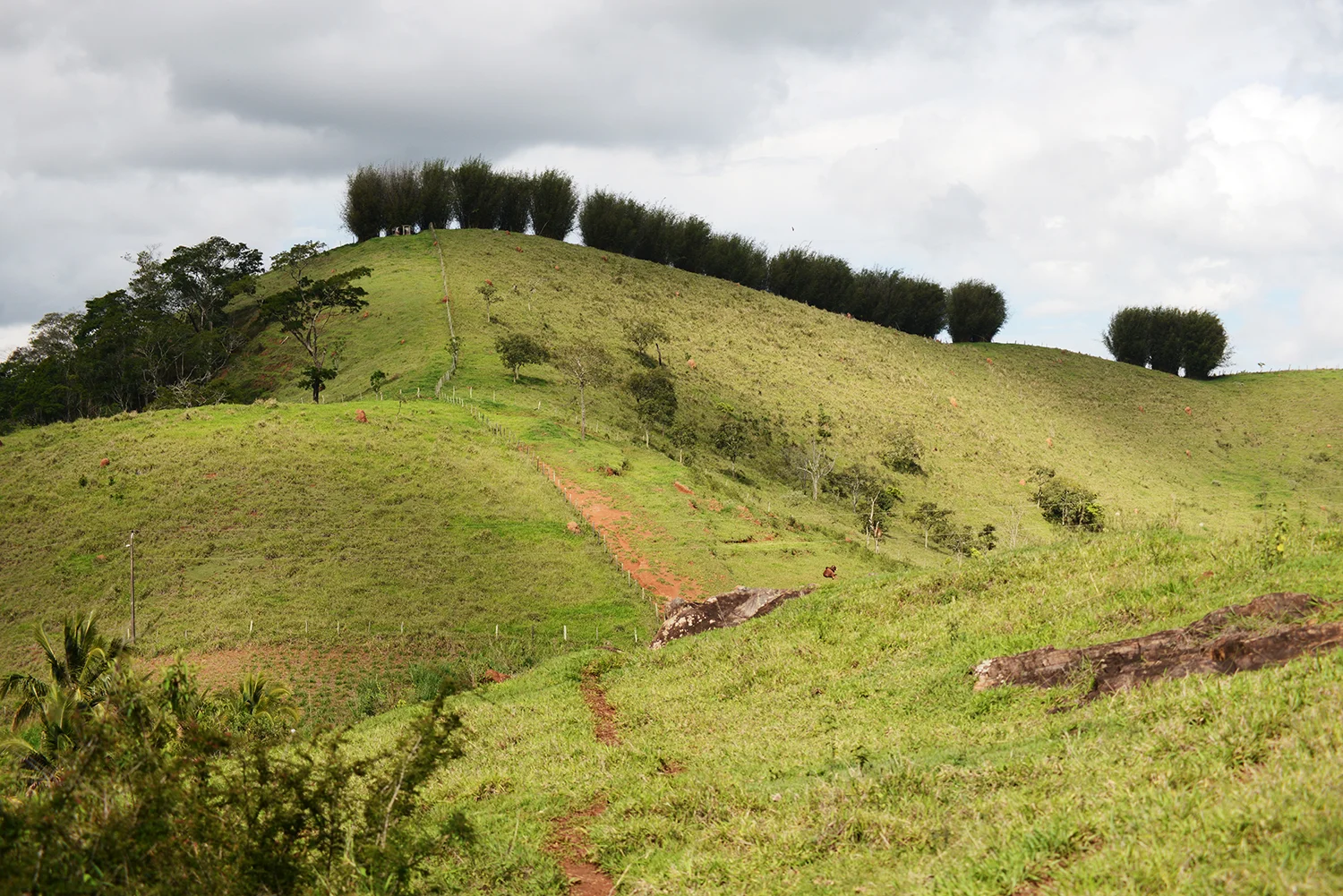 Zona da Mata, 2018