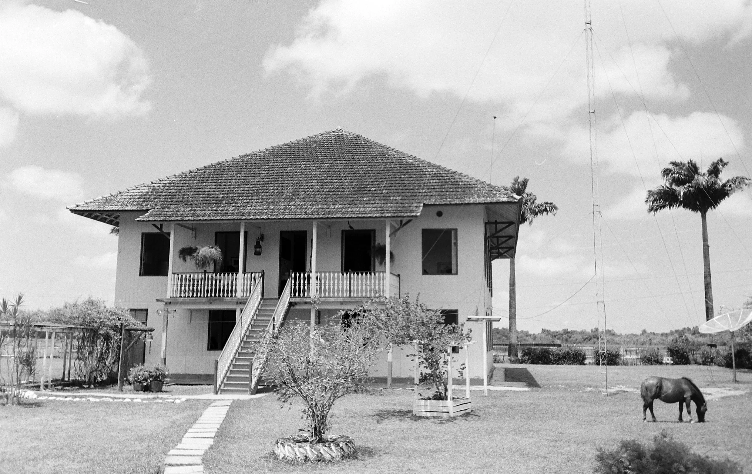 PICT0005.JPG