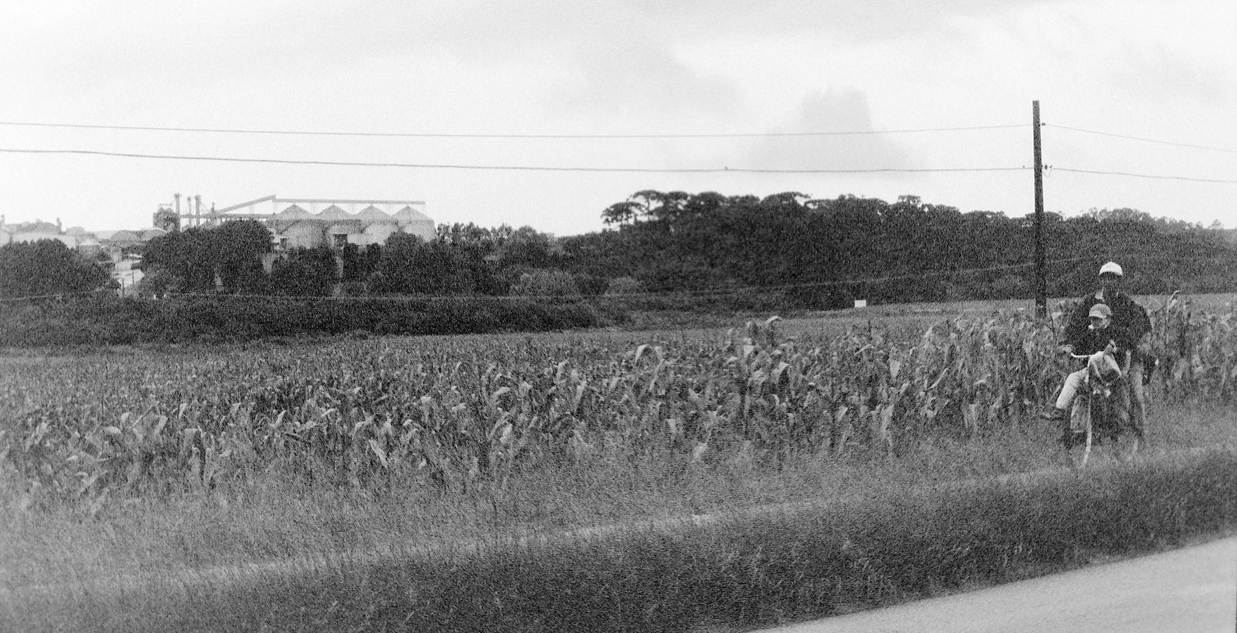 PICT0036.JPG
