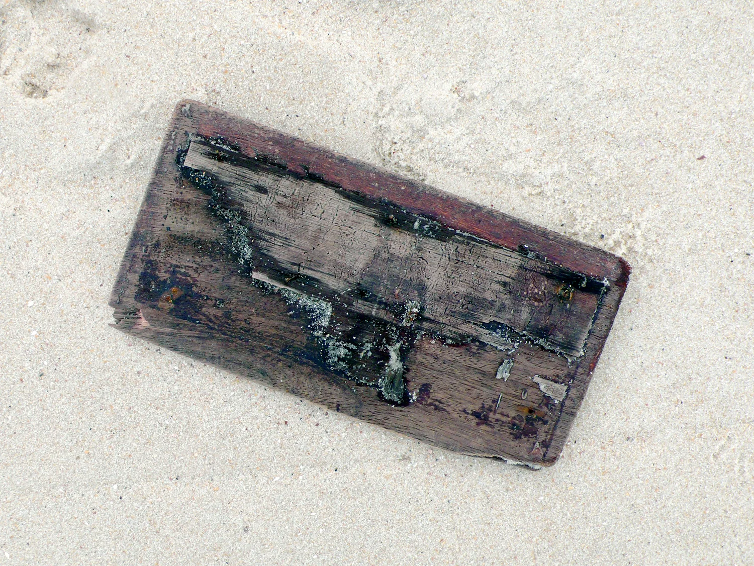 L1070162.jpg