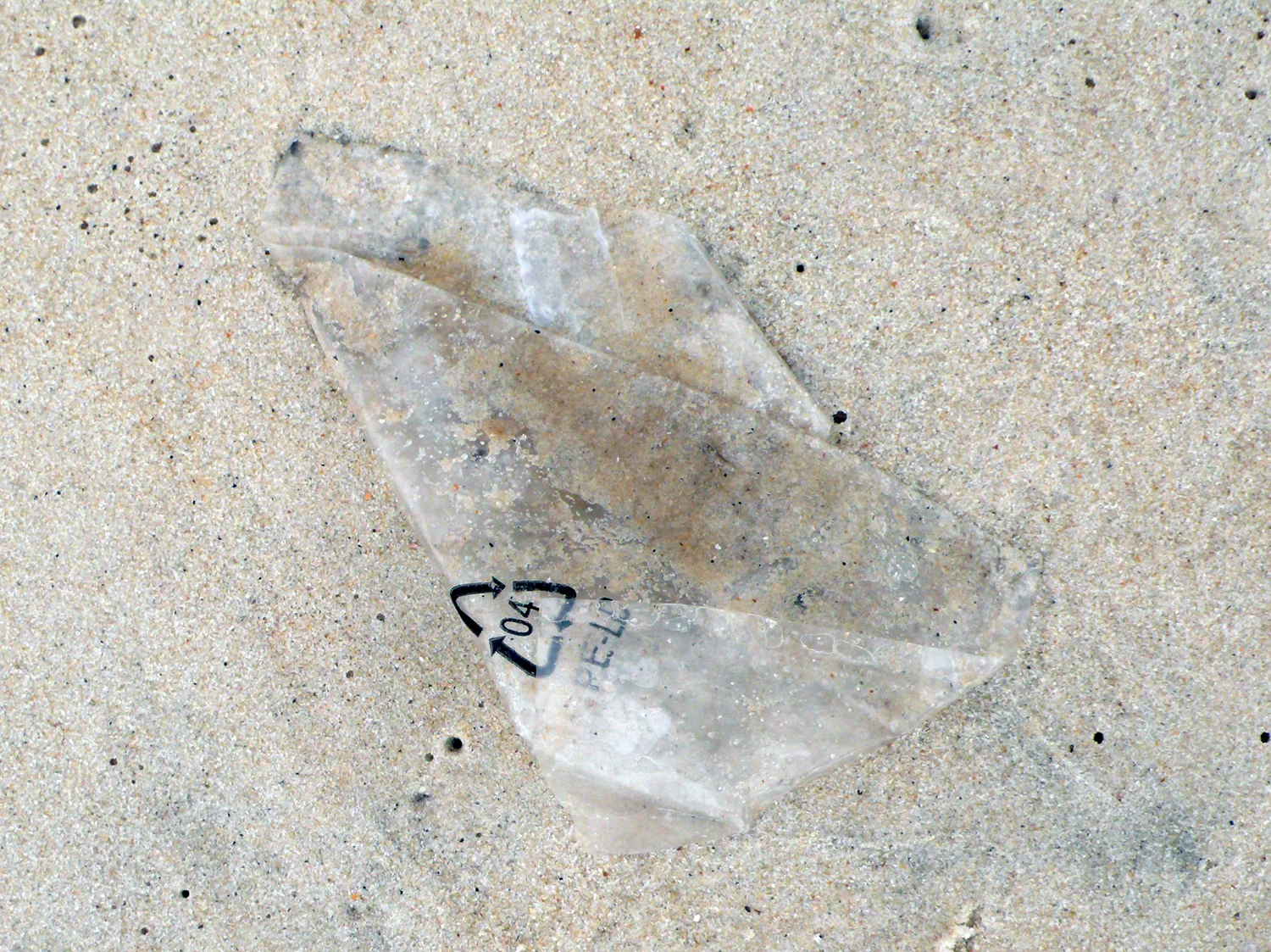 L1070066.jpg