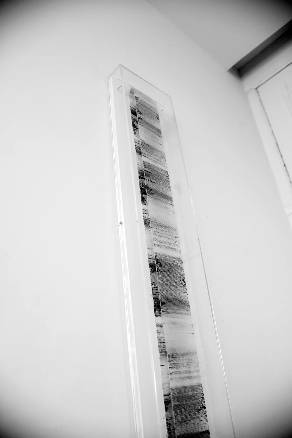 _DSC7167.jpg