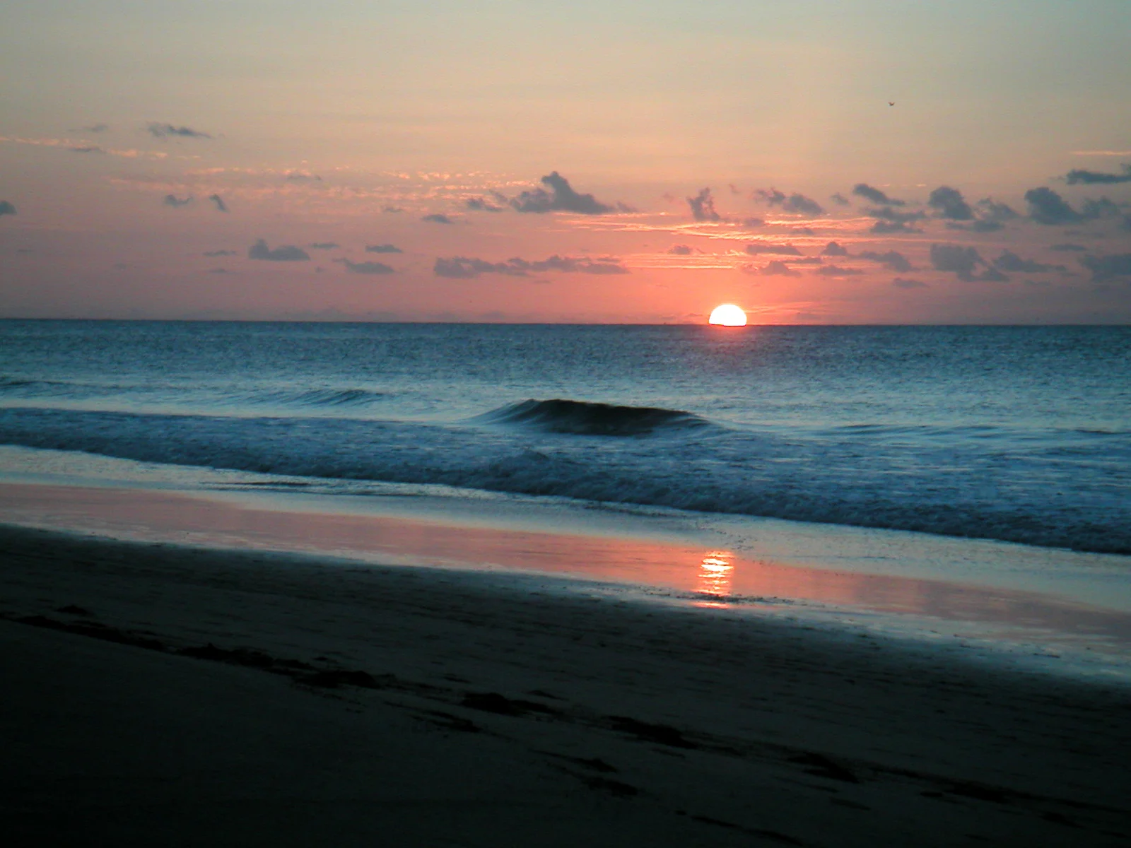Fernando de Noronha, 2004