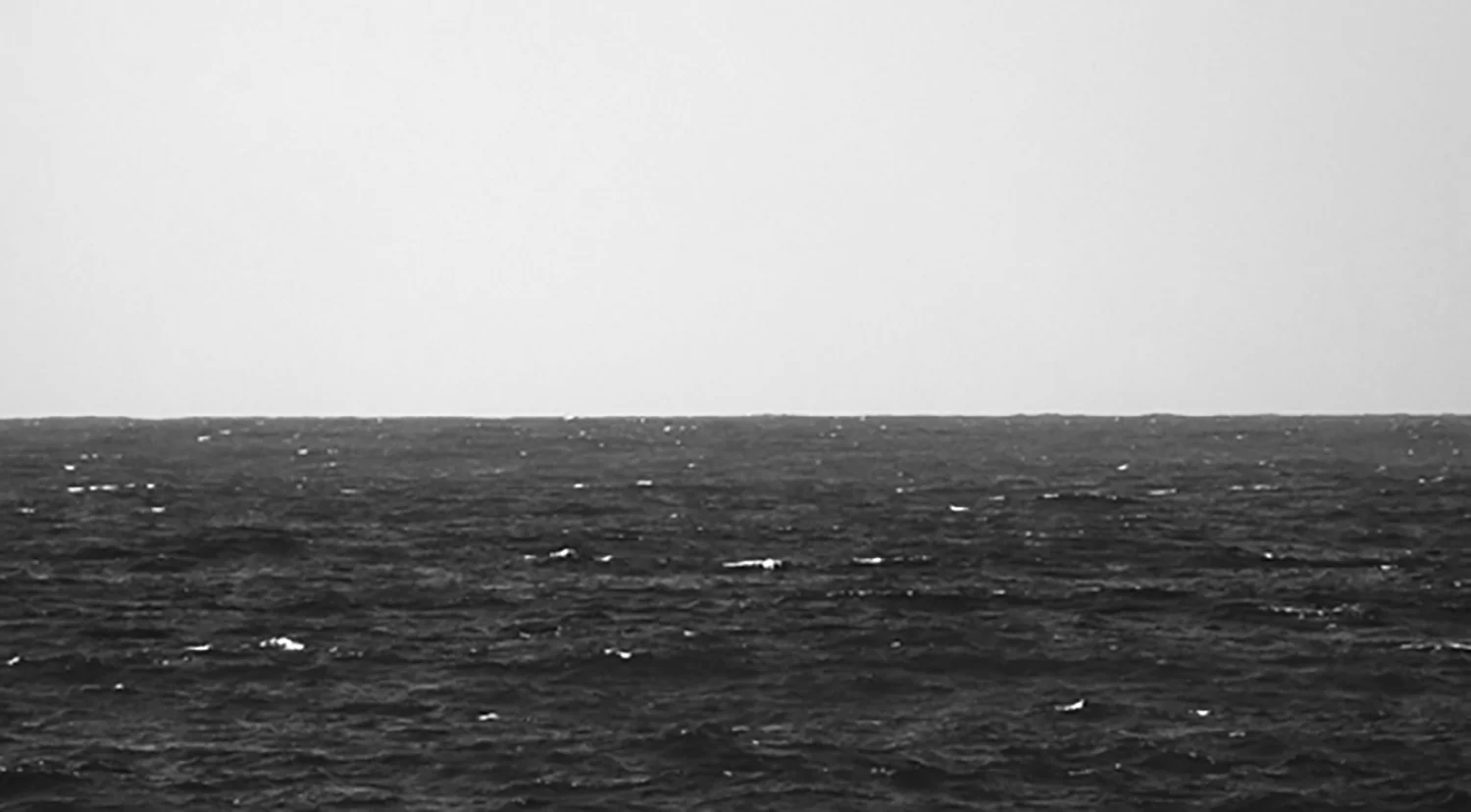 DSC_0033.jpg