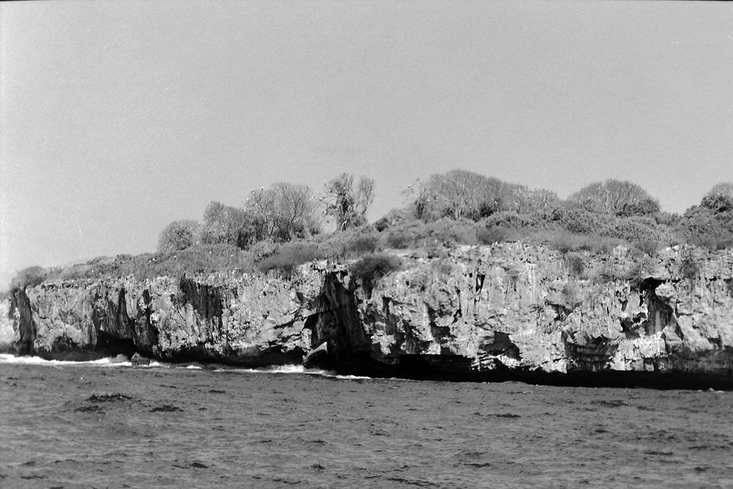 PICT0286.JPG